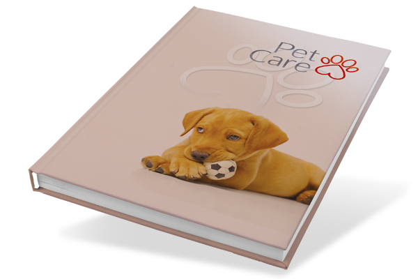 BIZBOOX® Classic Notizbuch  DIN A5 BIZBOOX® Classic Notizbuch  DIN A5